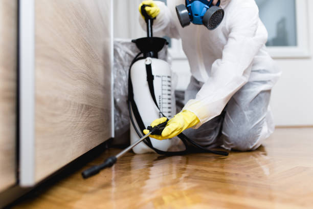 Reliable Hillview, KY Pest Control Solutions