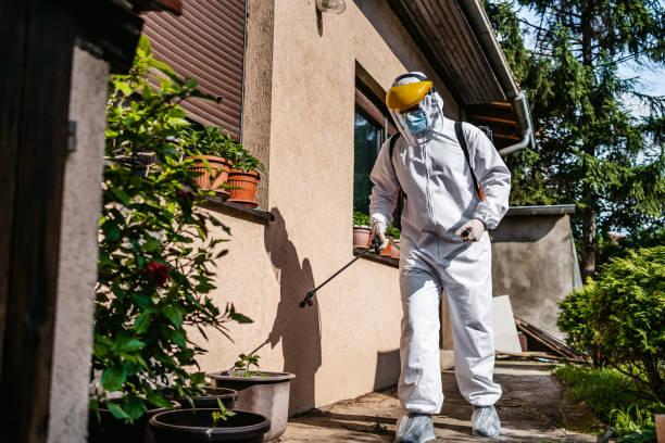 Best Affordable Pest Control Services  in Hillview, KY