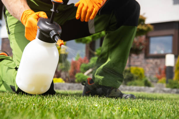 Best Mosquito Control Services  in Hillview, KY