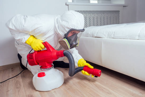 Best Local Pest Control Services  in Hillview, KY