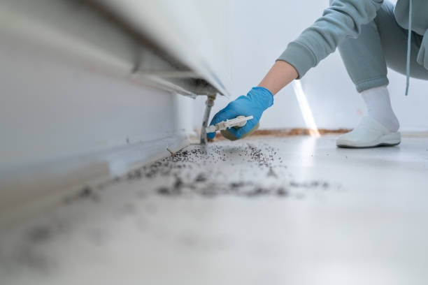 Best Pest Removal Services  in Hillview, KY